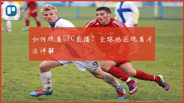如何观看UFC直播?全球地区观看方法详解