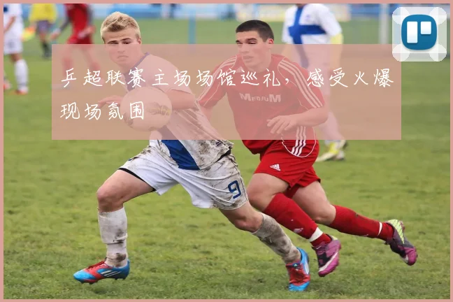 乒超联赛主场场馆巡礼,感受火爆现场氛围