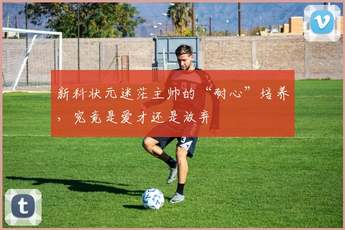 新科状元迷茫主帅的“耐心”培养,究竟是爱才还是放弃