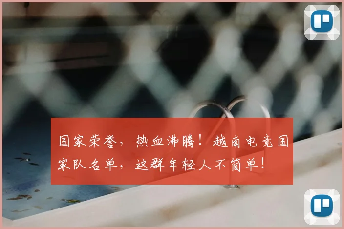 国家荣誉,热血沸腾!越南电竞国家队名单,这群年轻人不简单!