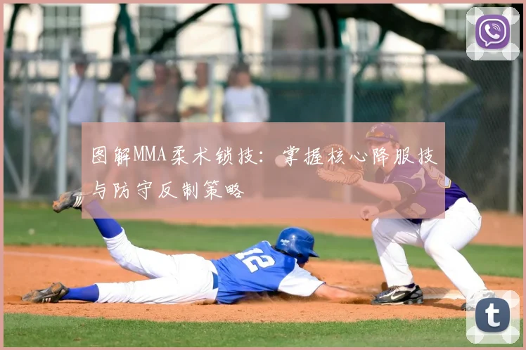 图解MMA柔术锁技：掌握核心降服技与防守反制策略