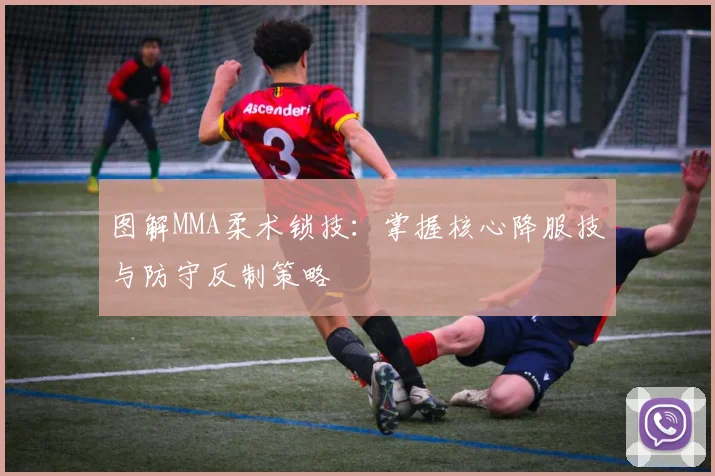 图解MMA柔术锁技：掌握核心降服技与防守反制策略
