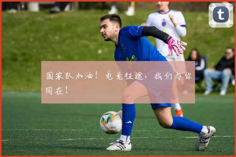 国家队加油！电竞征途，我们与你同在！