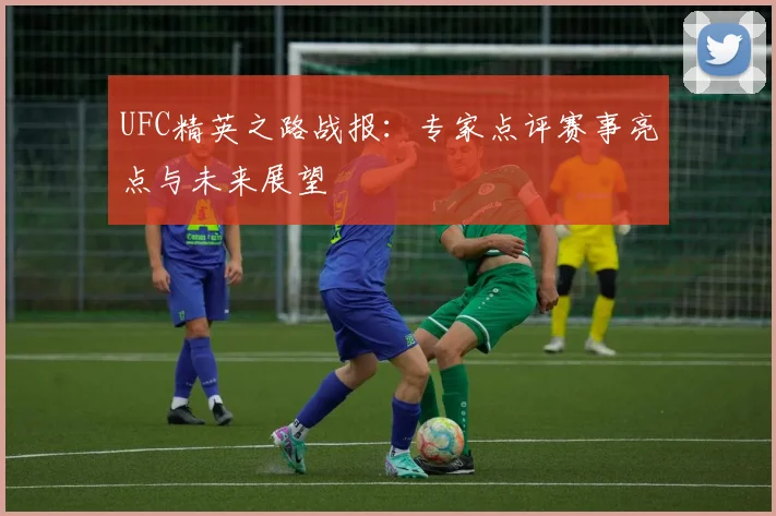 UFC精英之路战报：专家点评赛事亮点与未来展望