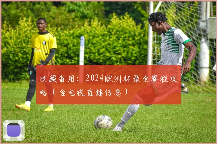 收藏备用:2024欧洲杯最全赛程攻略(含电视直播信息)